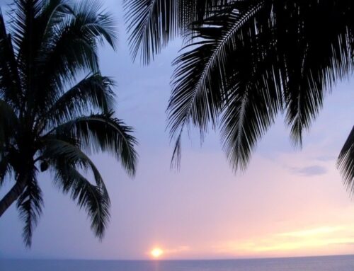 Σεϋχέλλες 7 μέρες / 5 νύχτες