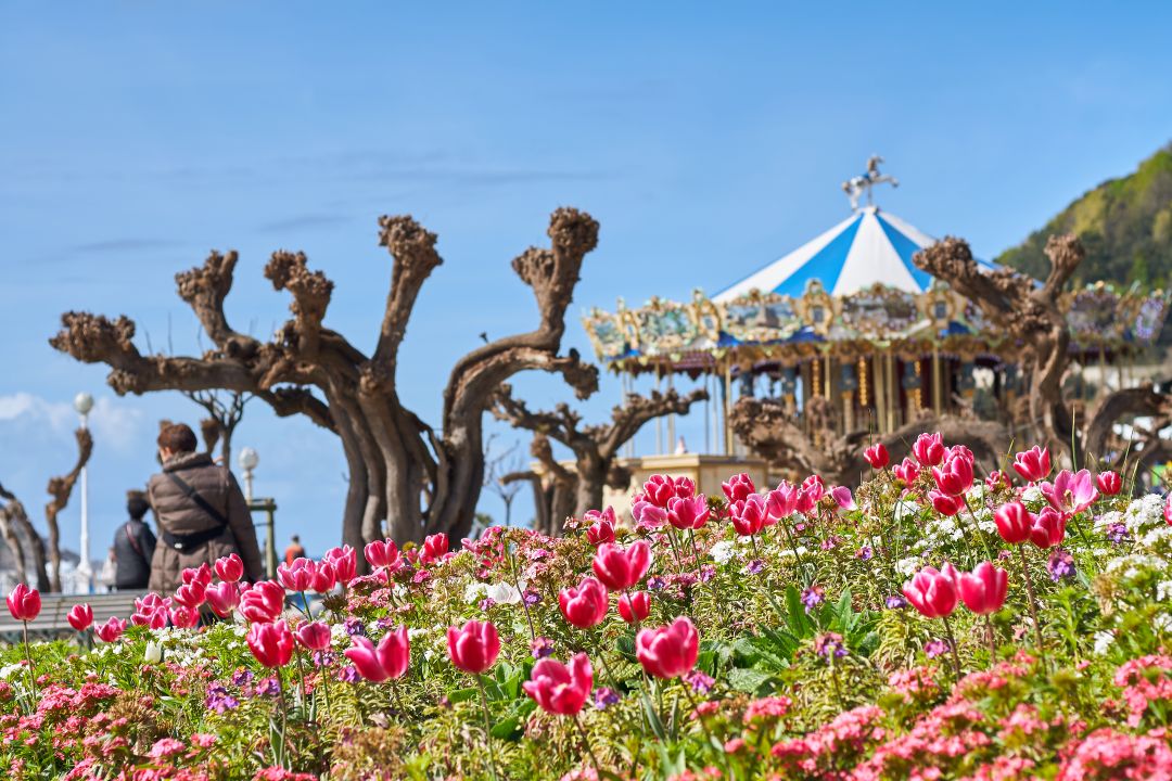 spring-flowers-of-red-and-purple-with-a-merry-go-r-2025-03-05-17-48-35-utc