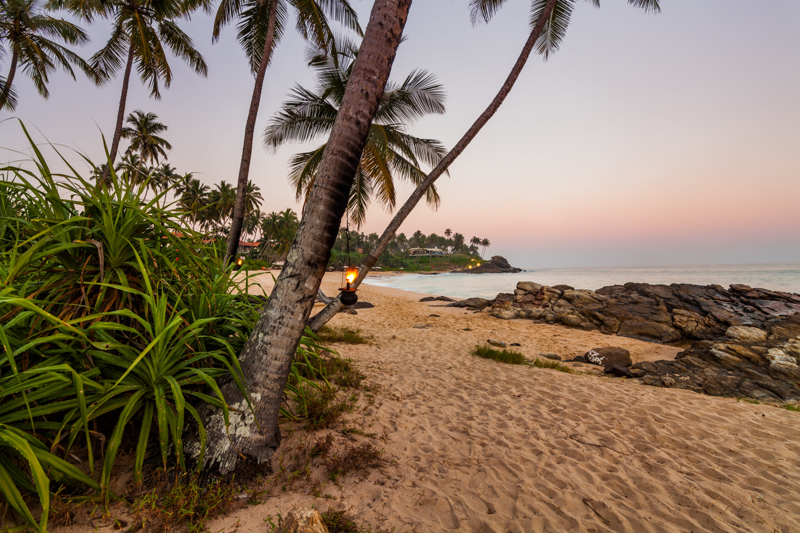 Sunset on the beach with coconut palms. Sri Lanka